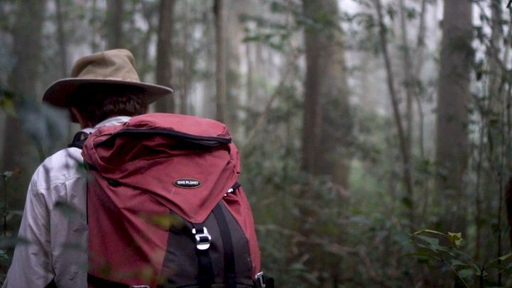 There are over 100km of trails up at Paluma thanks to the old tin mining days and volunteers recutting and maintaining …